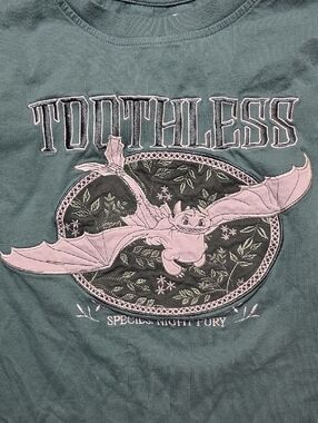 Boxlunch Dreamworks How To Train Your Dragon Toothless Embroidered Tee Sz Lg